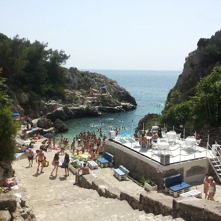 Caseinsalento *